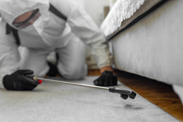 Professional Cockroach Control technician working in Merrimac, VA