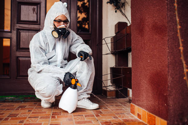 Reliable Cockroach Control contractor in Merrimac, VA by Nex Pest Control